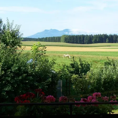 Apartment Haus Strobl Gstadt am Chiemsee
